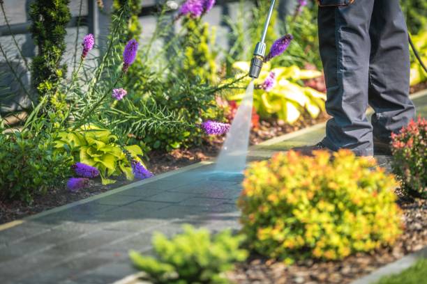 Reliable Crestwood Village, NJ Pressure Washing Services Solutions
